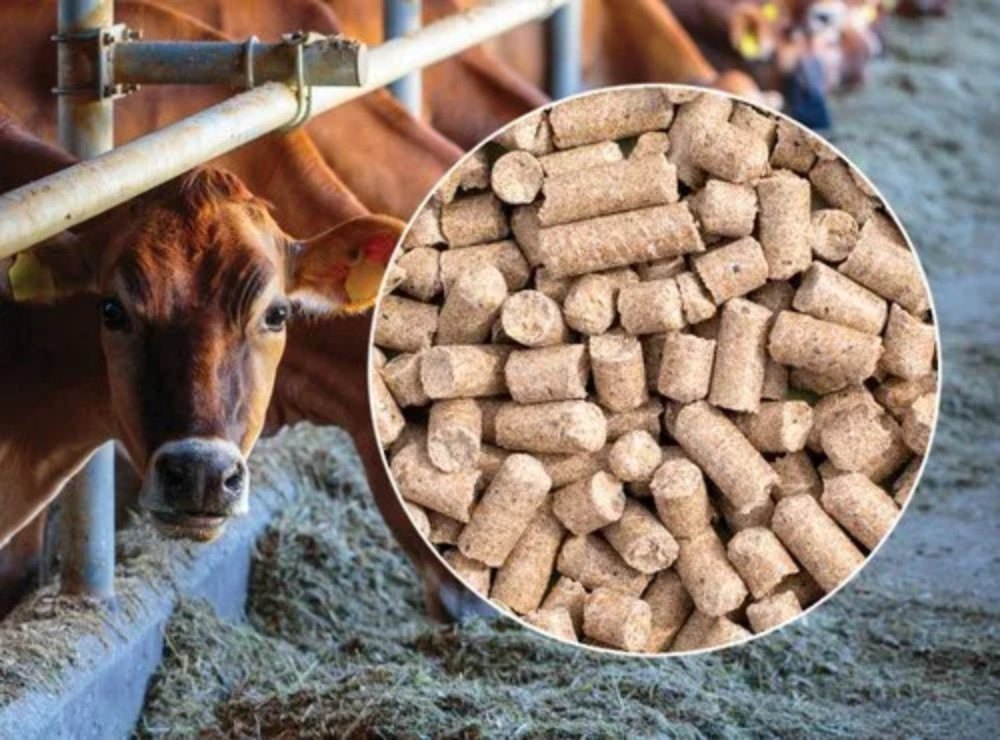 Top 10 Cattle Feed Manufacturers Bihar