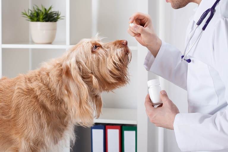 Veterinary Medicine Price List