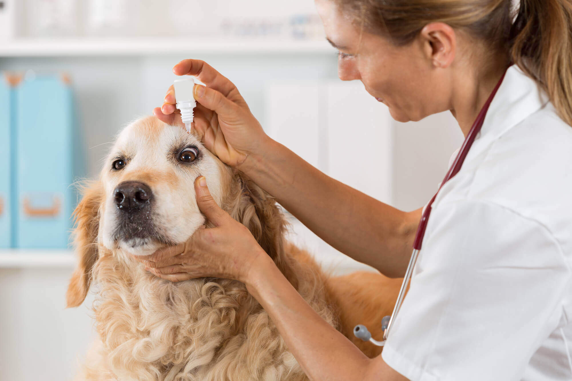 Veterinary Third Party Manufacturers In Noida